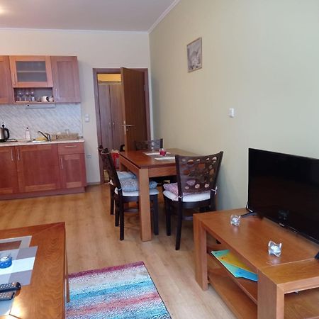 Pine Tree Apartment 3 - B3 Банско Экстерьер фото