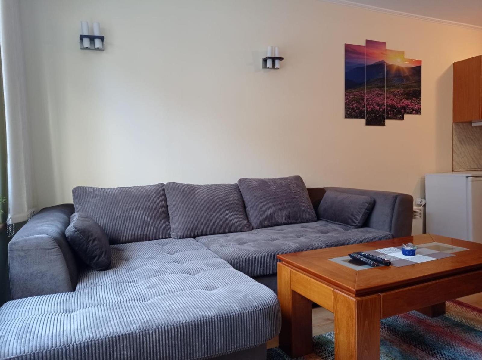 Pine Tree Apartment 3 - B3 Банско Экстерьер фото