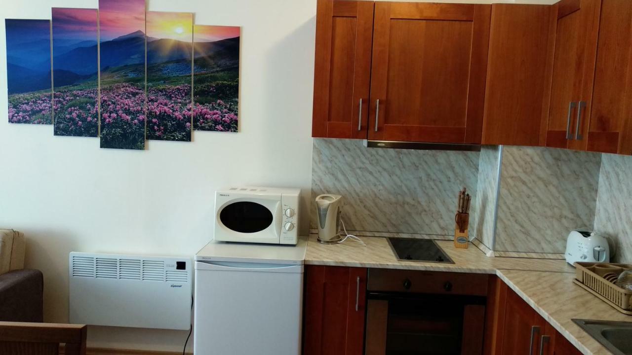 Pine Tree Apartment 3 - B3 Банско Экстерьер фото