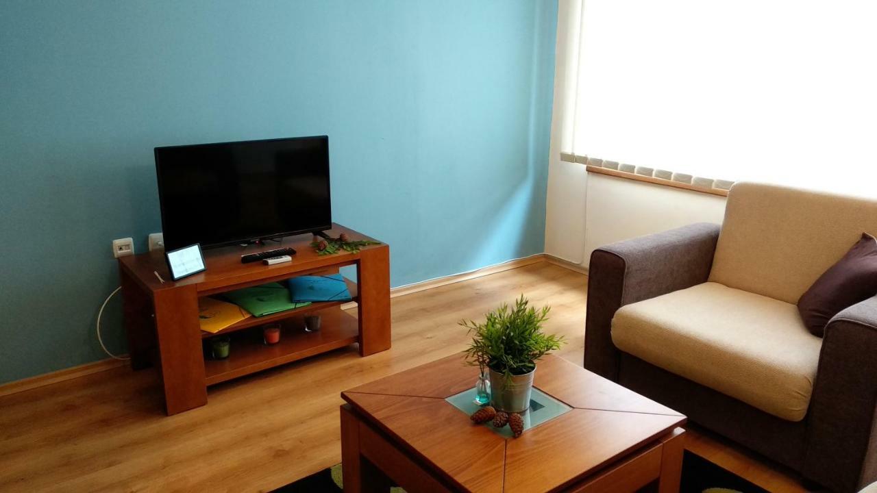 Pine Tree Apartment 3 - B3 Банско Экстерьер фото